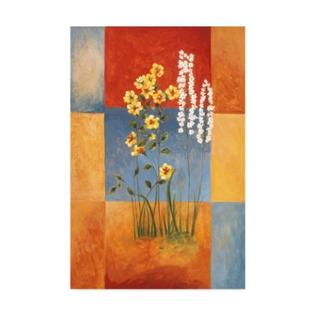 Pablo Esteban 'Yellow And White Flowers On Squares' Canvas Art,22x32